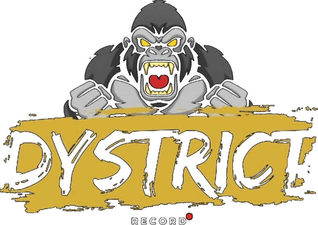 Dystrict Record logo
